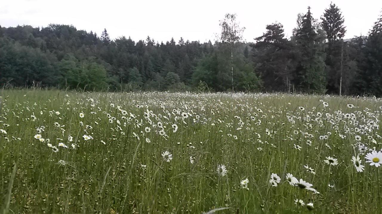 Pochebachhaeusl Βίλα Kurort Jonsdorf Εξωτερικό φωτογραφία